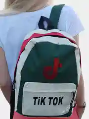 Зеленый рюкзак для школы, 3 цвета
