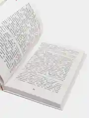 Сказки русских писателей, Аксаков Т. С., Гаршин В. М., Шварц Е. Л (У288953)