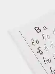 Рабочая тетрадь для детей 6-7 лет "Мои первые прописи", Бортникова Е