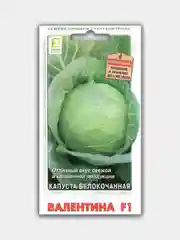 Капуста белокочанная "Валентина F1", семена