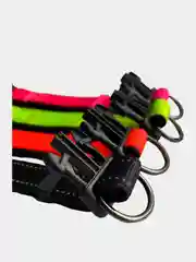 Ошейник для собак
