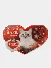 Коралловый открытка-валентинка, 18 х 13 см, 1 штука