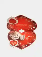 Коралловый открытка-валентинка, 18 х 13 см, 1 штука