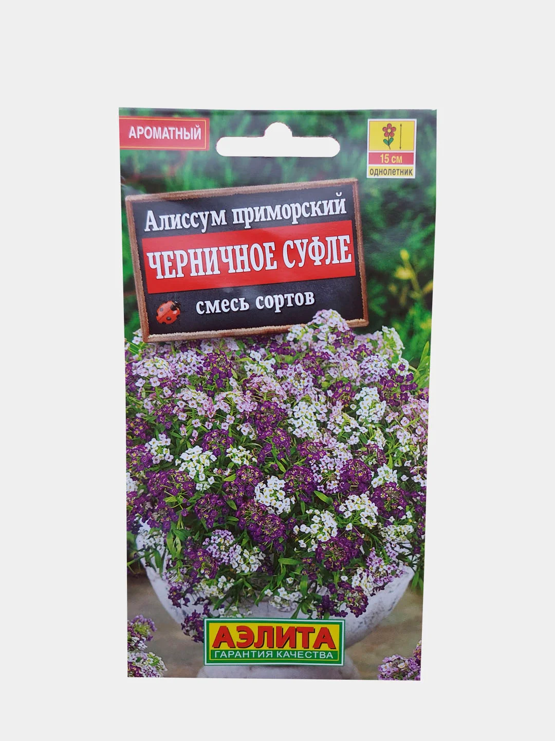 Алиссум приморский черничное суфле смесь (семена аэлита)