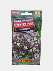 Алиссум приморский черничное суфле смесь (семена аэлита)