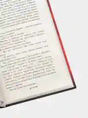 Крах и восход, Бардуго Ли