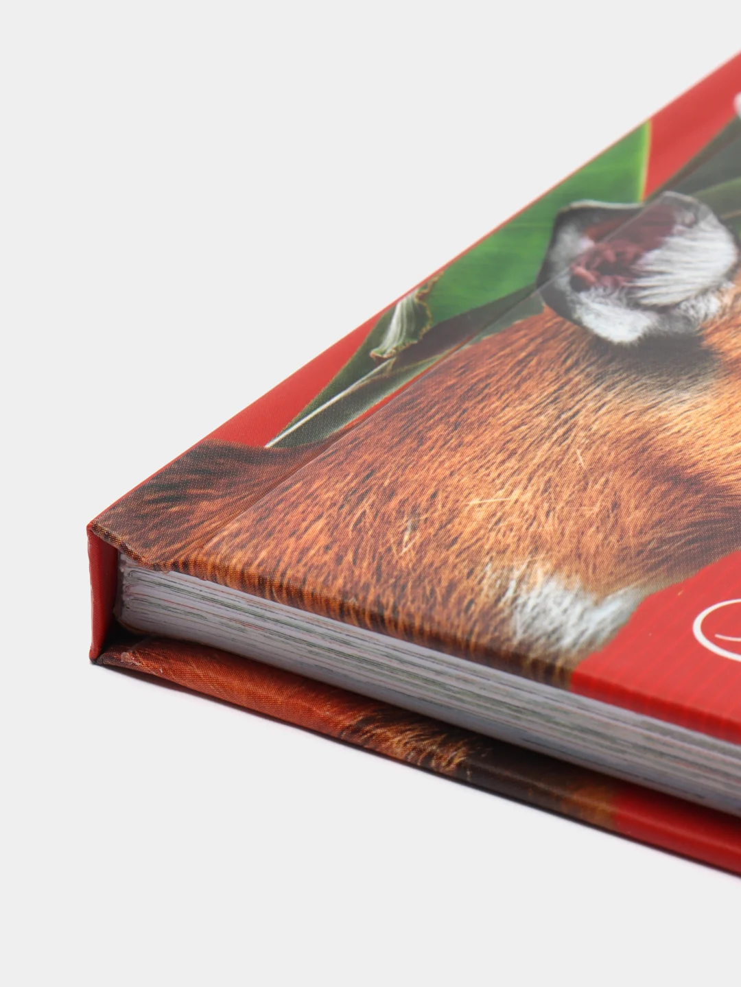 Красная книга. Животные