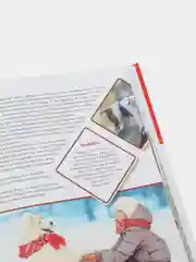 Большая энциклопедия о кошках и собаках