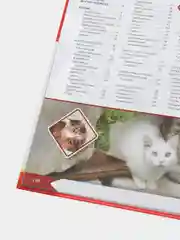 Большая энциклопедия о кошках и собаках