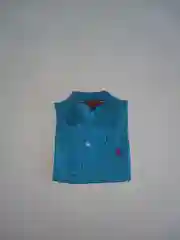 Водолазка с длинным рукавом на мальчика, цвет голубой