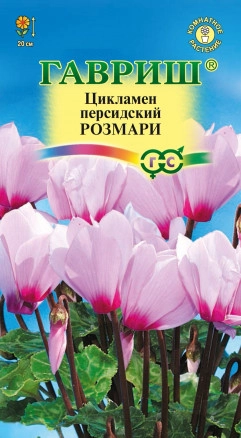 Семена Цикламен персидский  Розмари  набор 1, 3, 5 уп