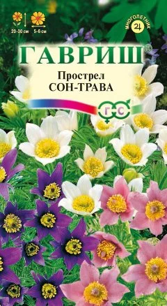 Семена Прострел "Сон-трава" набор 1, 3, 5 уп