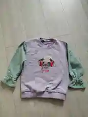 Толстовка