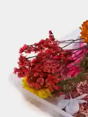 Розовый сухоцветы в коробе, 17 х 12 х 3 см