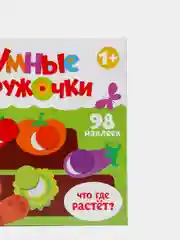 Наклейки набор Умные кружочки 4 шт. по 12 стр