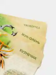 Набор животных с обучающими карточками В мире насекомых, по методике Монтессори