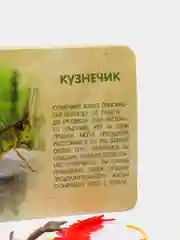 Набор животных с обучающими карточками В мире насекомых, по методике Монтессори