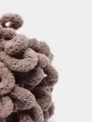 Карамельный пряжа Alize Puffy (Ализе Пуффи)