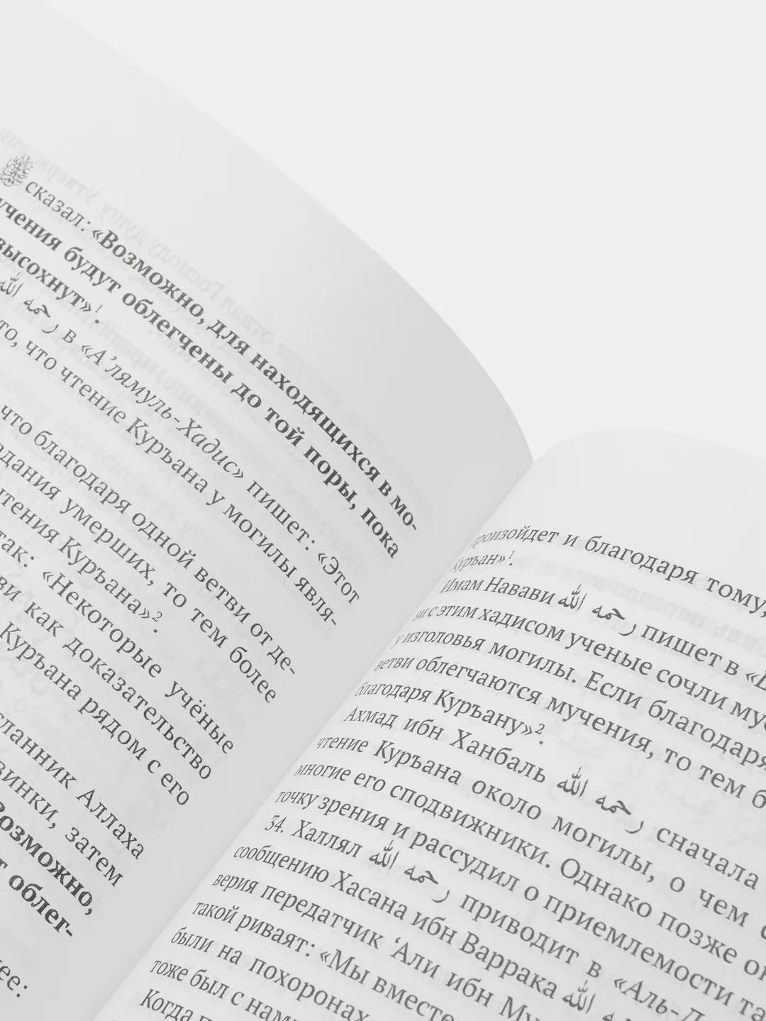 Посещение могил. Камиль Самигуллин. Книга по исламу. Хузур