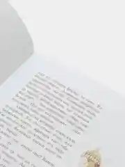 "Акмамык. Ак-Памык". Туркменская народная сказка. Книга на татарском языке