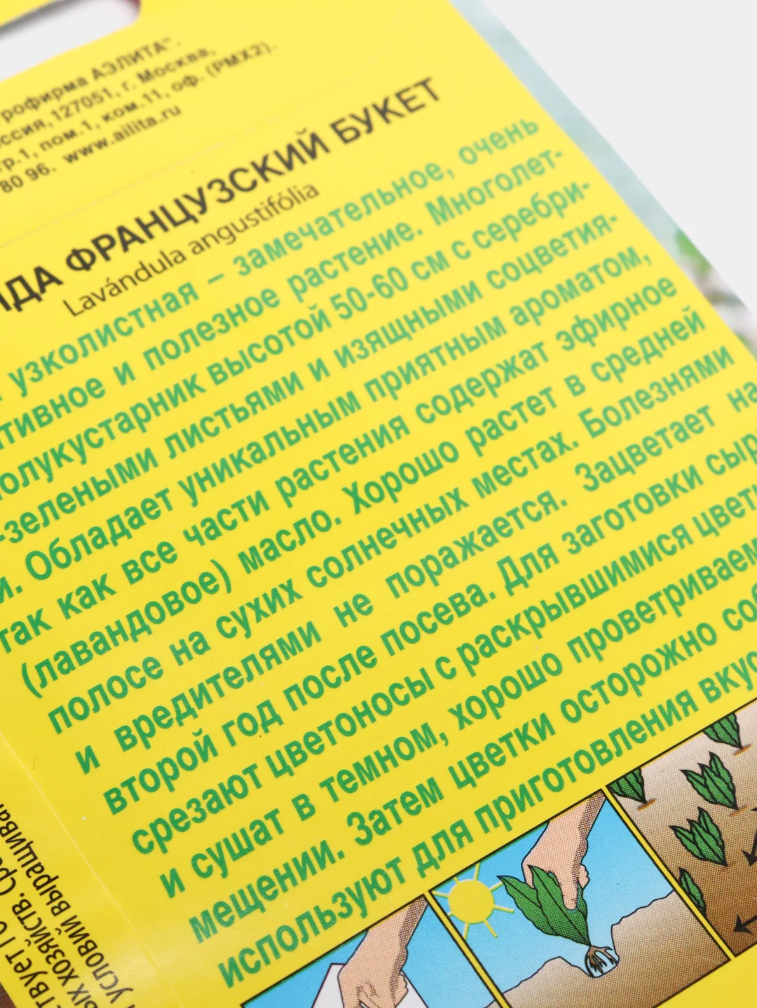 Семена Лаванда "Французский букет"