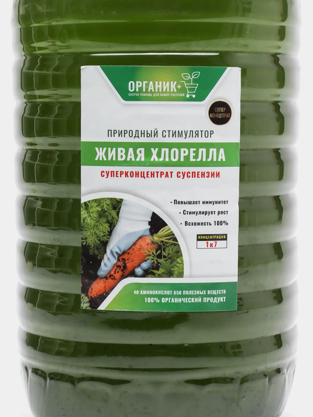 Концентрат суспензии хлореллы 5л
