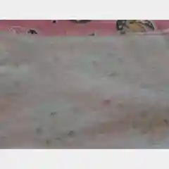 Розовый пижама утепленная для девочек