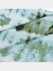 Приглушённый хаки платок женский из хлопка с принтом