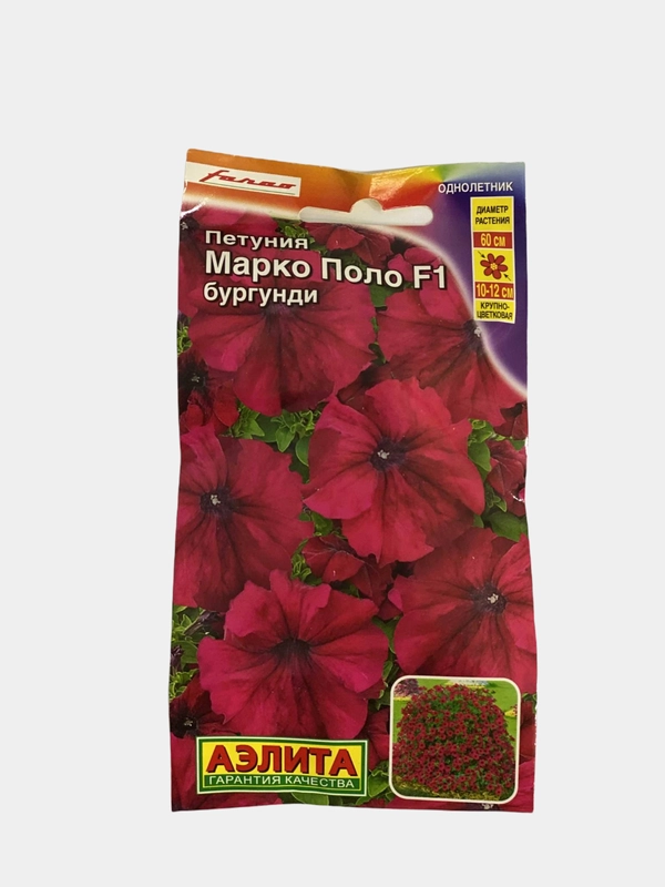 Петуния Марко Поло бургунди (семена,цветы)