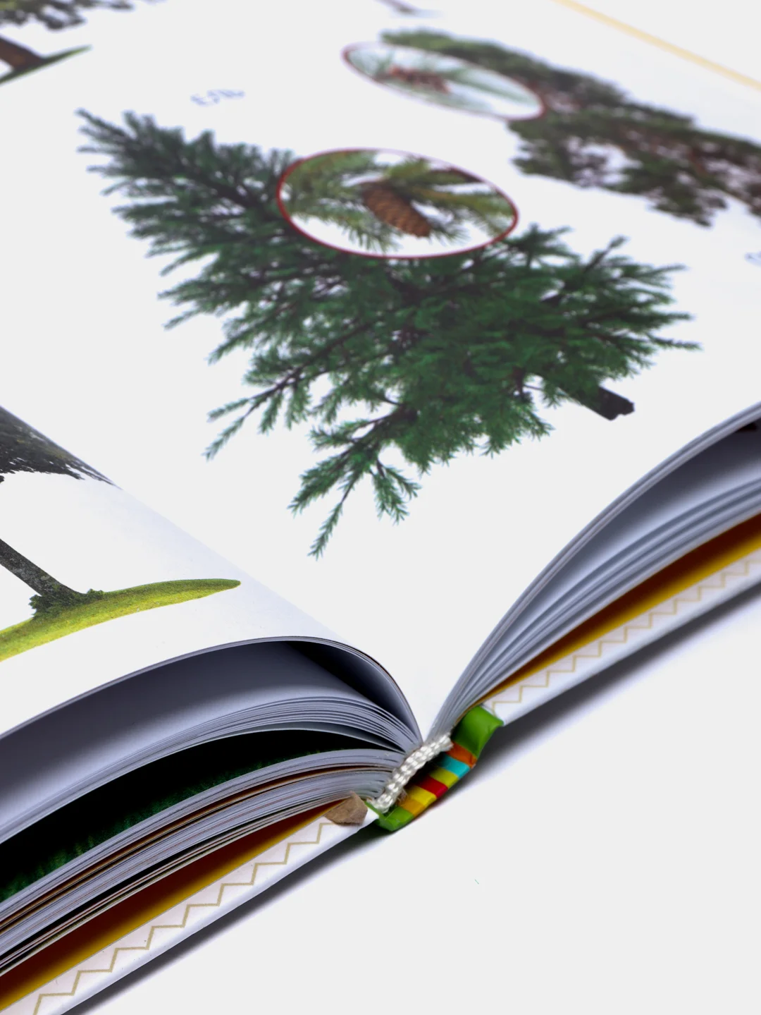 Энциклопедия малыша "Моя первая книга"