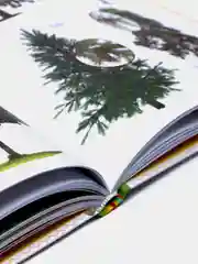 Энциклопедия малыша "Моя первая книга"