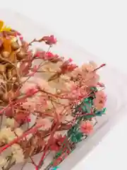 Зеленый сухоцветы в коробе, 17 х 12 х 3 см
