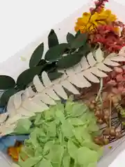 Зеленый сухоцветы в коробе, 17 х 12 х 3 см