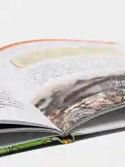 Энциклопедия для детского сада Насекомые
