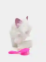 Интерактивная игрушка Pomsies