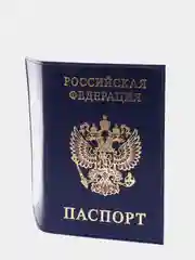 Обложка мужская для паспорта