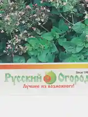 Семена душицы обыкновенной "Медовый аромат", 0,05 г