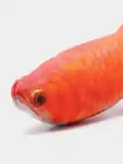 Плюшевая 3D игрушка рыба для кошек и собак