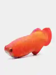 Плюшевая 3D игрушка рыба для кошек и собак