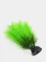 Растение для аквариума "Перистолистник зеленый", Plant 028