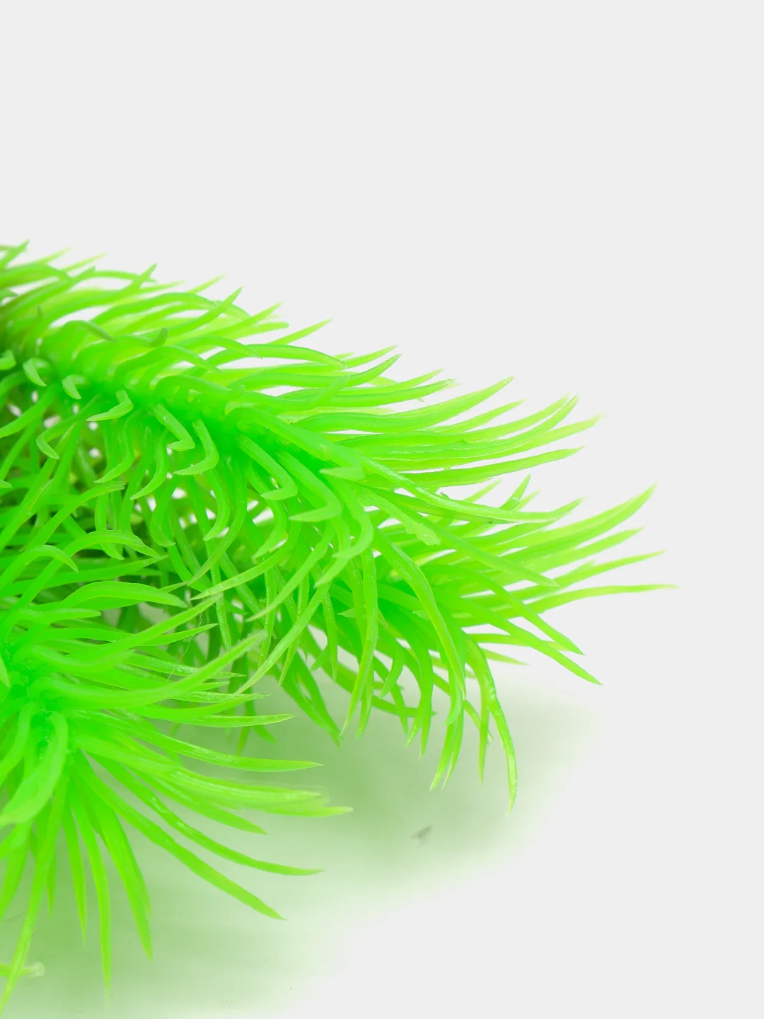 Растение для аквариума "Перистолистник зеленый", Plant 028