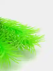 Растение для аквариума "Перистолистник зеленый", Plant 028