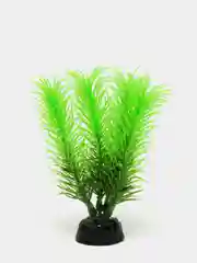 Растение для аквариума "Перистолистник зеленый", Plant 028