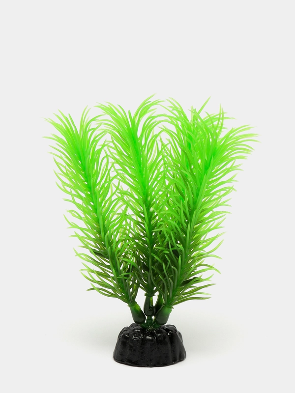 Растение для аквариума "Перистолистник зеленый", Plant 028