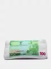 Мятный подушка "Купюра"