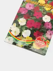 Семена цветов Мирабилис "Ночная красавица", (10265118)