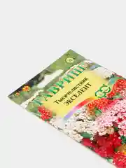 Тысячелистник Экселент (семена,цветы)