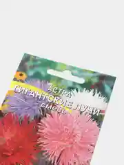 Семена цветов Астра "Гигантские лучи. Смесь", однолетние, 0,2