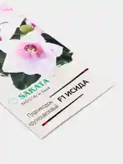 Платикодон Исида (семена,цветы)