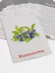 Марсала набор карточек по методике Глена Домана, в ассортименте